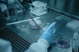 BACTERIOLOGIE LABORATOIRE