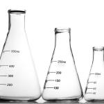 Erlen 250 ml en verre