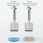 Micropipette multicanaux 0.5 à 10 µl