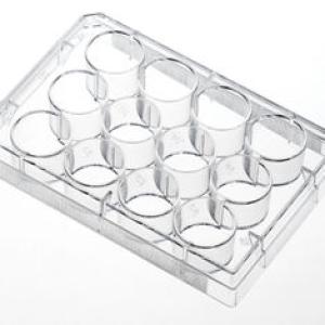 Plaque VDRL en verre 12 puits