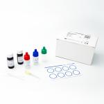 VDRL Charbon RAPID LAB