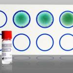 Waaler Rose RAPID LAB